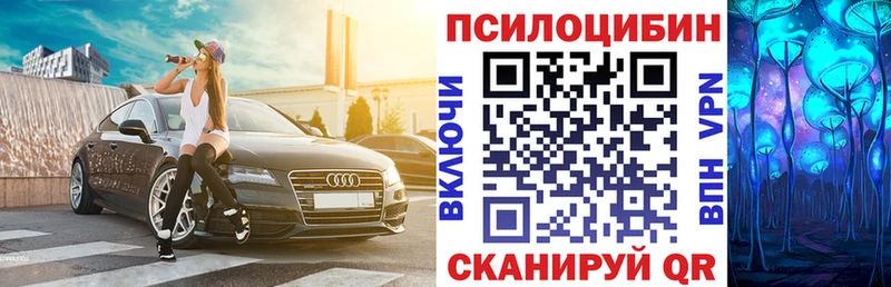 Псилоцибиновые грибы мицелий Онега
